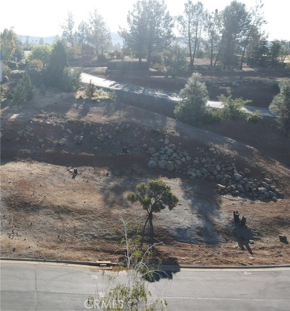 Front Image Thumbnail for CRPA26165907