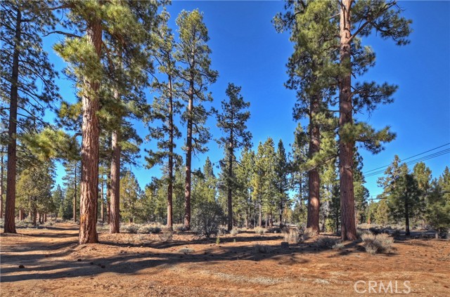 Detail Gallery Image 13 of 18 For 0 Highway 38, Big Bear City,  CA 92314 - – Beds | – Baths