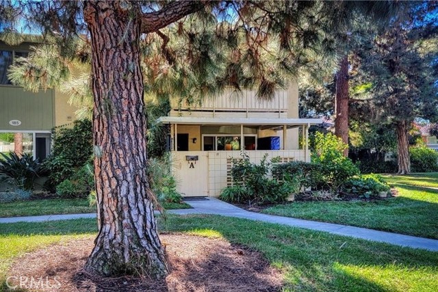 185 AVENIDA MAJORCA, Laguna Woods CA: https://media.crmls.org/medias/7b3b9082-4d5e-4eb8-826f-bb8acb53bc47.jpg