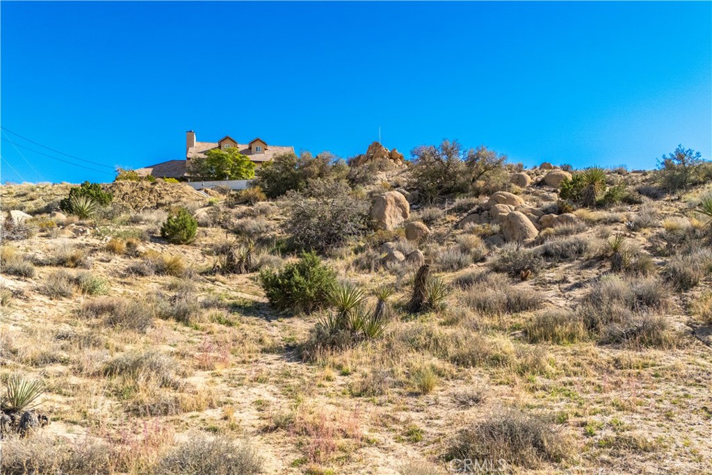 MLS #JT25259470 image #17