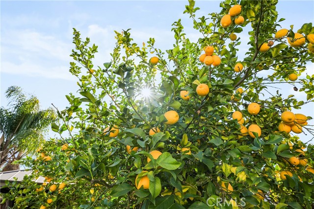 Detail Gallery Image 53 of 56 For 569 Overleaf, San Jacinto,  CA 92582 - 3 Beds | 4 Baths