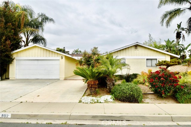 802 Calle Camelia photo 1