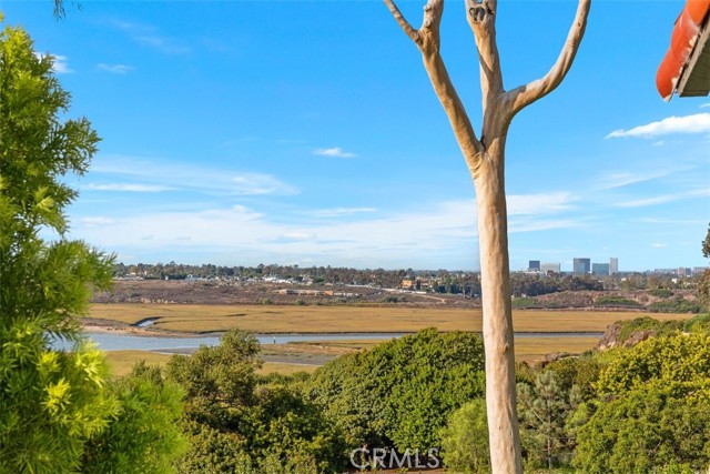 Detail Gallery Image 28 of 37 For 428 Vista Grande, Newport Beach,  CA 92660 - 3 Beds | 2/1 Baths