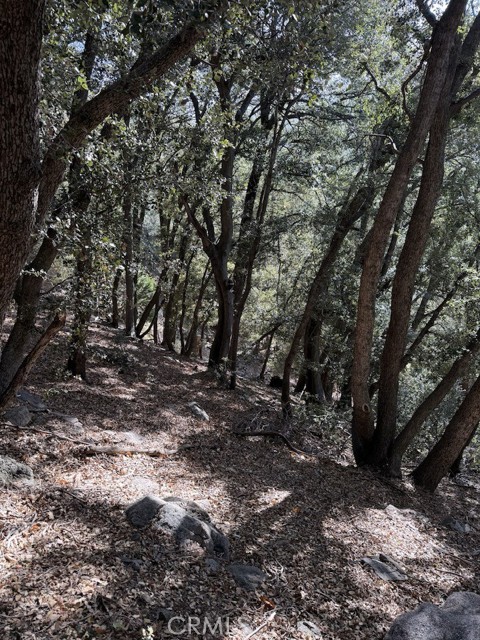 Detail Gallery Image 4 of 6 For 0 343-061-27-000, Cedarpines Park,  CA 92322 - – Beds | – Baths