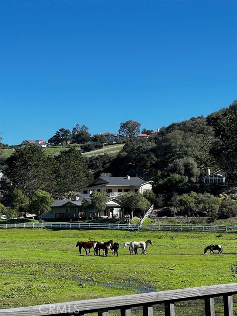 Detail Gallery Image 70 of 74 For 828 Robin Cir, Arroyo Grande,  CA 93420 - 3 Beds | 3/1 Baths