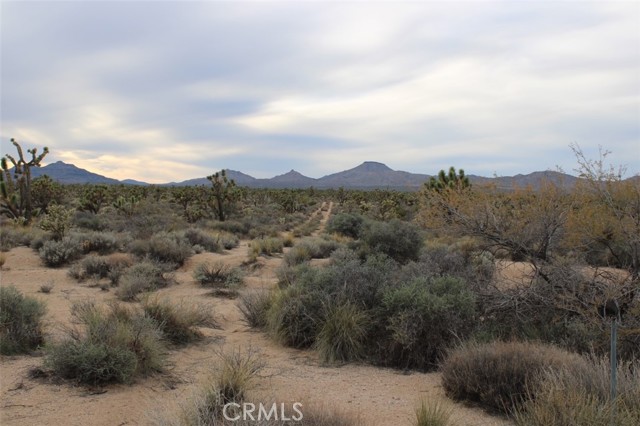 Detail Gallery Image 5 of 6 For 0 Cedar Canyon, Essex,  CA 92332 - – Beds | – Baths