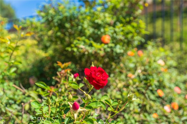 Detail Gallery Image 30 of 40 For 34278 Torrey Pines Court, Lake Elsinore,  CA 92532 - 3 Beds | 2 Baths