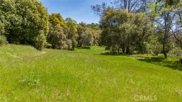 Detail Gallery Image 4 of 33 For 4872 Hirsch Rd, Mariposa,  CA 95338 - – Beds | – Baths