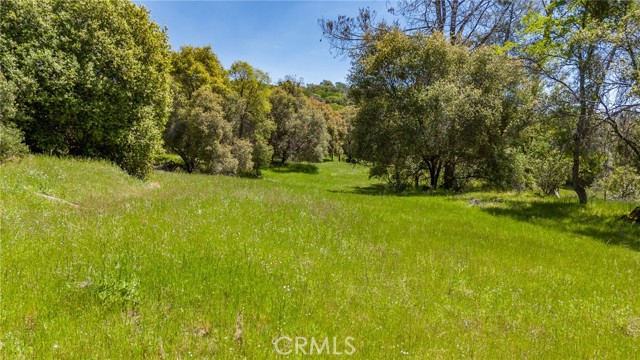 Detail Gallery Image 4 of 33 For 4872 Hirsch Rd, Mariposa,  CA 95338 - – Beds | – Baths