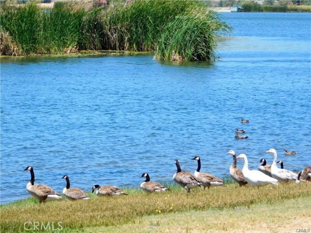 Detail Gallery Image 21 of 41 For 300 Flightline Way, Aguanga,  CA 92536 - – Beds | – Baths