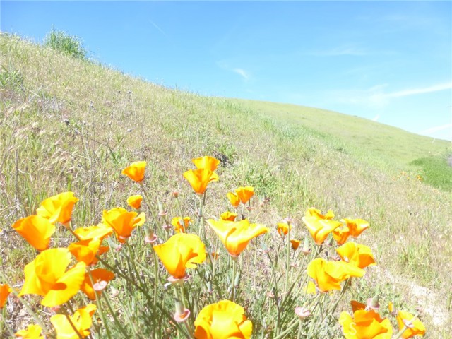 Detail Gallery Image 16 of 75 For 0 Douglas Rd. (Lots 28, 33 & 34), San Miguel,  CA 93451 - – Beds | – Baths