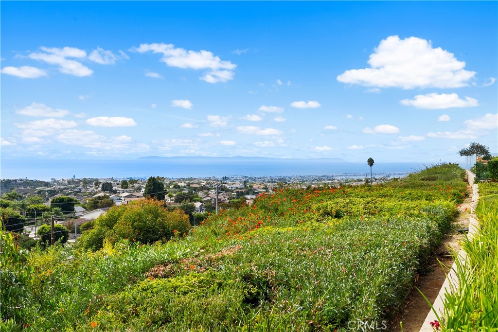 MLS #OC25247778 image #14