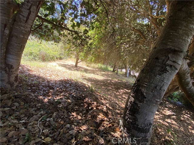 Detail Gallery Image 8 of 9 For 0 Kent St, Cambria,  CA 93428 - – Beds | – Baths