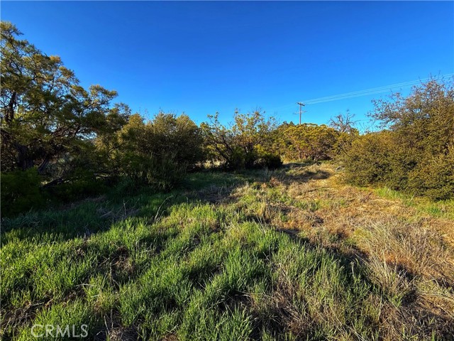 Detail Gallery Image 19 of 20 For 3 Chihuahua Valley Rd, Warner Springs,  CA 92086 - – Beds | – Baths