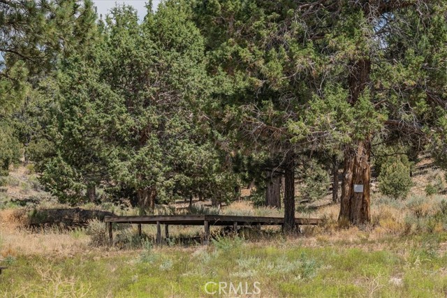 550 Eagle Ridge Rd, Big Bear, CA 92314