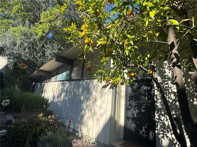 Front Image Thumbnail for CRSR26039454