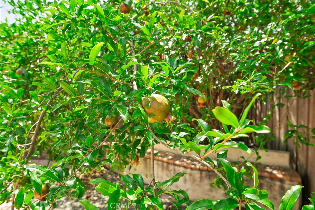 https://media.crmls.org/medias/7b814232-47de-43dd-9170-0d53a89349b1.jpg?preset=X-Large