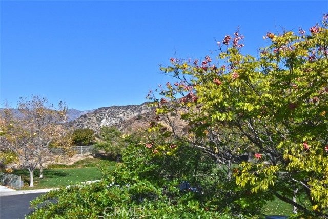 Detail Gallery Image 33 of 47 For 11157 Provence Ln, Tujunga,  CA 91042 - 4 Beds | 3 Baths