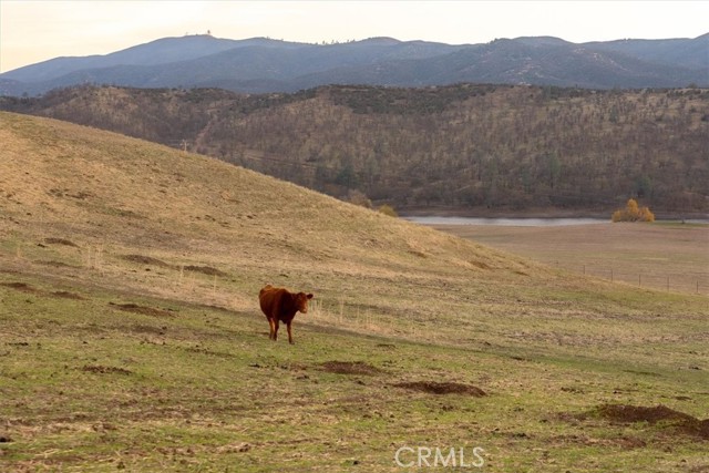 Image 72 of 75 For 535 Calf Canyon