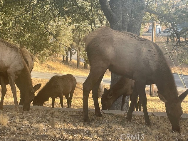 29450 Stallion Springs Drive, Tehachapi CA: https://media.crmls.org/medias/7b8aa67d-8566-497d-be18-fb1fb56d76de.jpg