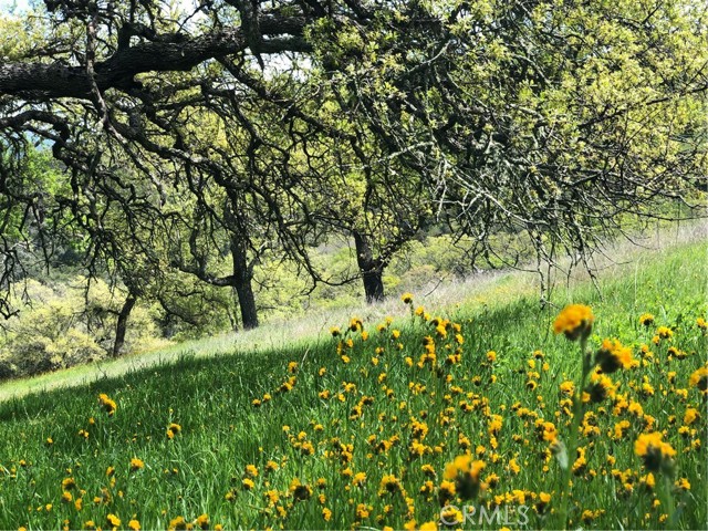 Detail Gallery Image 8 of 12 For 777 Tepusquet Rd, Santa Maria,  CA 93454 - – Beds | – Baths