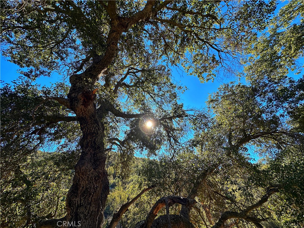 https://media.crmls.org/medias/7b8bd187-b427-4150-842b-e9b6e03f2fcd.jpg?preset=X-Large