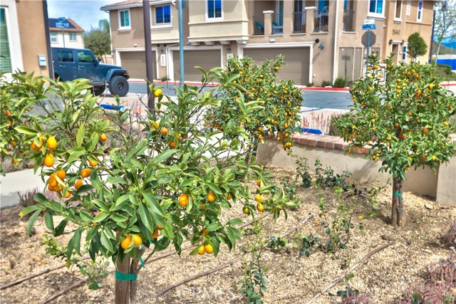 Detail Gallery Image 34 of 47 For 28397 Partridge Way #1001,  Murrieta,  CA 92563 - 2 Beds | 2 Baths