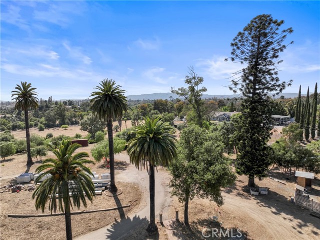 3210 Live Oak Park Rd, Fallbrook, California 92028, ,Residential Land,For Sale,Live Oak Park Rd,SW24116983