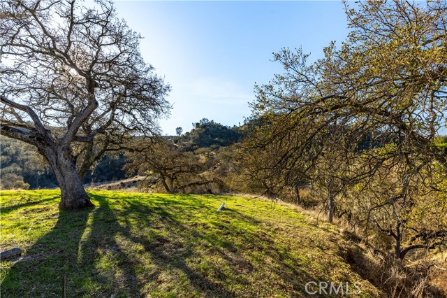 Detail Gallery Image 31 of 35 For 5085 Bluebird Ln, Paso Robles,  CA 93446 - 3 Beds | 2 Baths