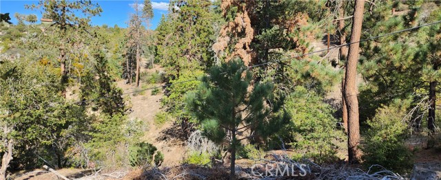 0 TRAILS END Road, Green Valley Lake, California 92341, ,Land,For Sale,0 TRAILS END Road,CRRW22222974