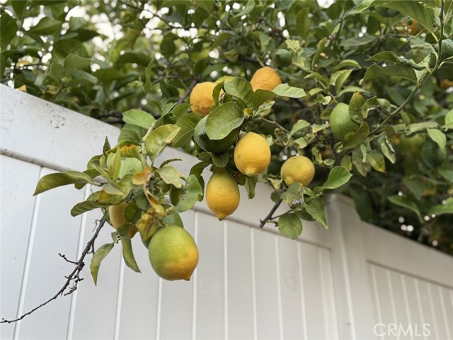 11050 Keswick Street, Sun Valley CA: https://media.crmls.org/medias/7ba7233b-19b8-41e5-90e5-6cb07660a490.jpg