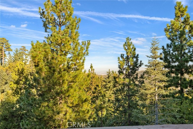 Detail Gallery Image 60 of 71 For 293 Fairway Dr, Lake Arrowhead,  CA 92352 - 6 Beds | 7/1 Baths