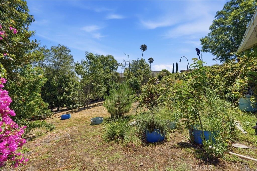 MLS #SB26127430 image #39