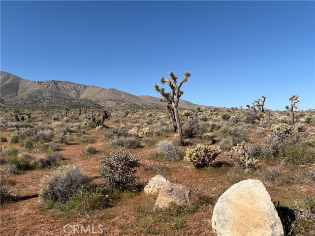 Detail Gallery Image 2 of 3 For 0 Willow Wells Ave, Lucerne Valley,  CA 92356 - – Beds | – Baths