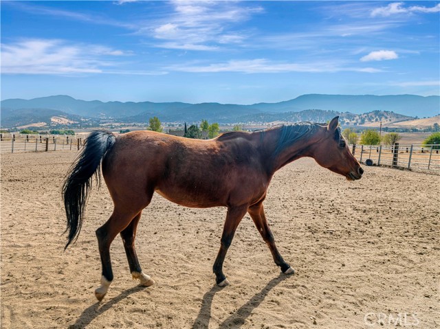 Detail Gallery Image 50 of 66 For 23237 Johnson Ct, Tehachapi,  CA 93561 - 4 Beds | 5 Baths