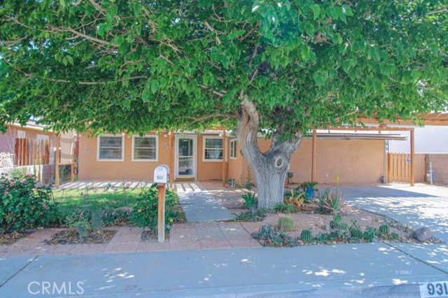 Front Image Thumbnail for CRCV26124939