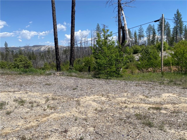 Detail Gallery Image 14 of 24 For 1103 Bald Rock Rd, Berry Creek,  CA 95916 - – Beds | – Baths