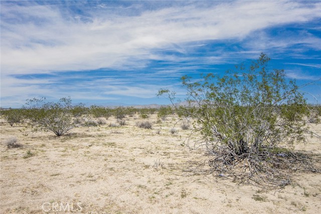 64532 Chollita Road, Joshua Tree, California 92252, ,Land,For Sale,64532 Chollita Road,CRJT23175359