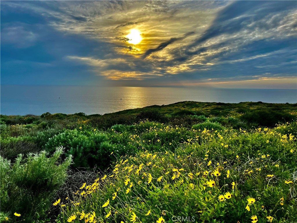 https://media.crmls.org/medias/7bd47fd7-fbdb-49d1-9684-9f492b7069e5.jpg?preset=X-Large