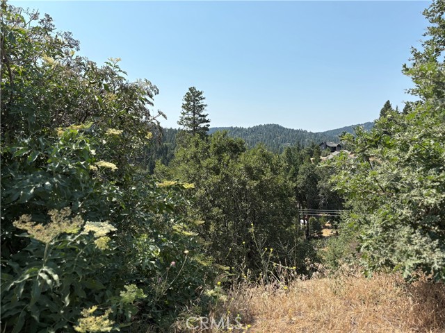 Detail Gallery Image 6 of 6 For 26815 Inyo Ct, Lake Arrowhead,  CA 92352 - – Beds | – Baths
