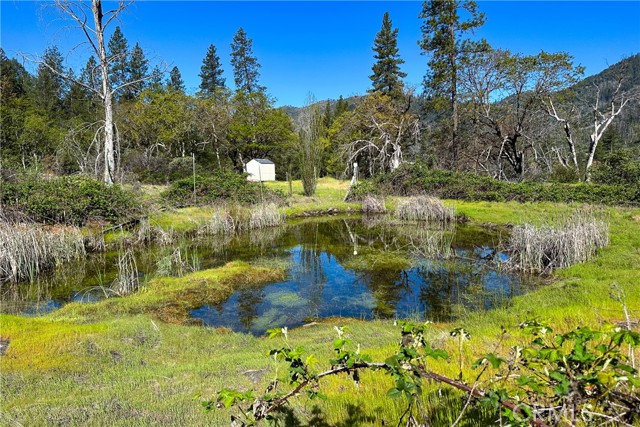 Detail Gallery Image 2 of 35 For 1271 Lake, –,  CA 96048 - – Beds | – Baths