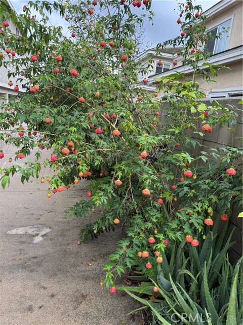 Detail Gallery Image 29 of 32 For 5704 Sultana Ave #D,  Temple City,  CA 91780 - 3 Beds | 2/1 Baths