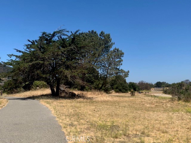 MLS #HD24144189 image #8