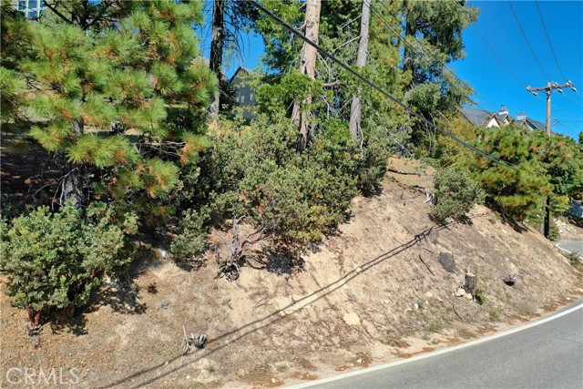 788 Brentwood Drive, Lake Arrowhead, California 92352, ,Land,For Sale,788 Brentwood Drive,CRRW23204974