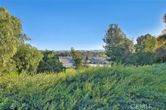 Detail Gallery Image 61 of 73 For 2481 Hawkwood Dr, Chino Hills,  CA 91709 - 5 Beds | 3 Baths