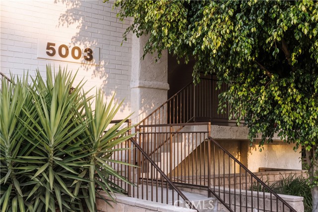 5003 Tilden