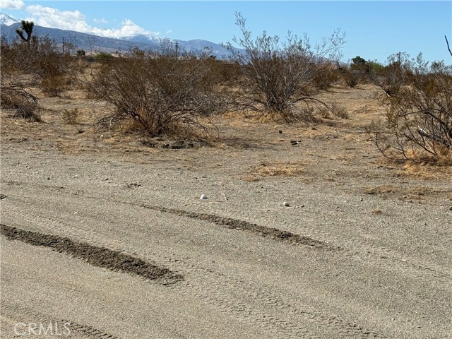 Detail Gallery Image 5 of 5 For 0 Beekley Rd, Pinon Hills,  CA 92372 - – Beds | – Baths