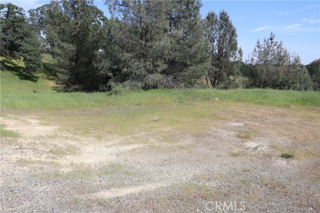 Detail Gallery Image 7 of 10 For 7325 Bluebird Rd., Corning,  CA 96021 - – Beds | – Baths