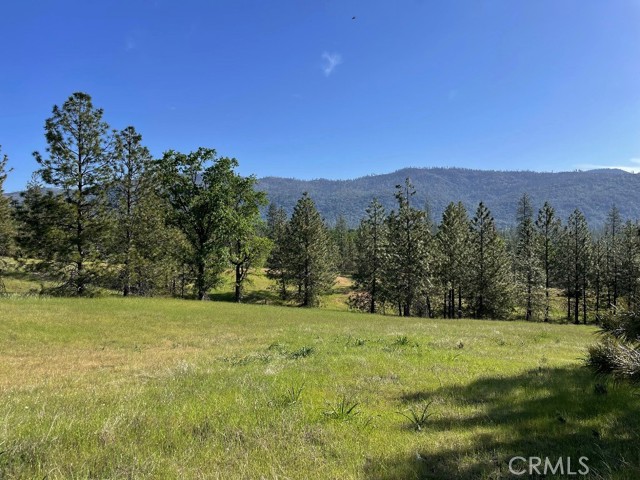 0 Triangle Road, Mariposa CA: https://media.crmls.org/medias/7bf0d6f2-ea26-4e1a-a035-3f9473820dac.jpg