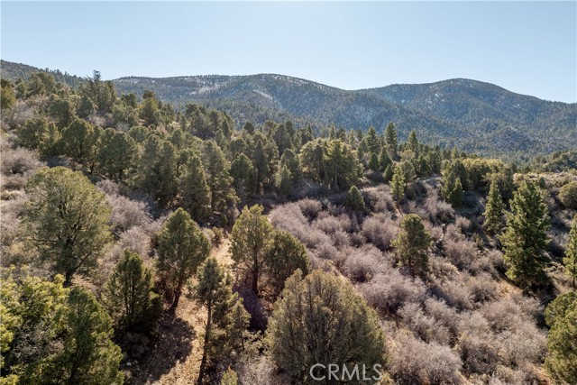 Detail Gallery Image 23 of 31 For 1110 Central, Big Bear City,  CA 92314 - – Beds | – Baths